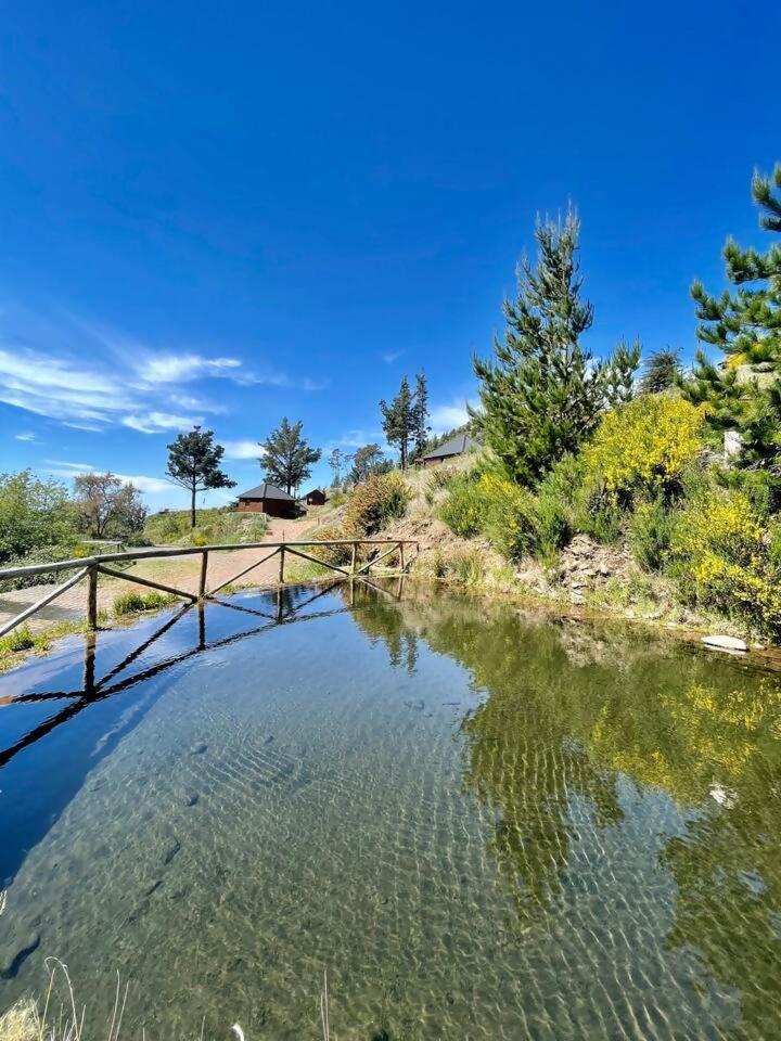 Mountain Eco Shelter 7 Hotel Funchal  Exterior foto