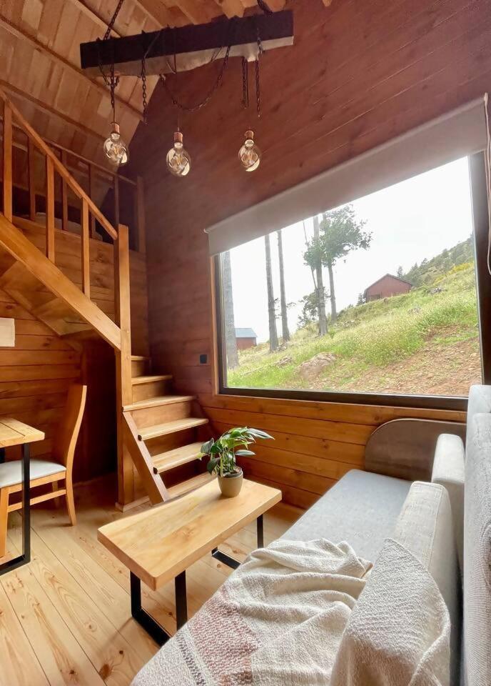 Mountain Eco Shelter 7 Hotel Funchal  Exterior foto