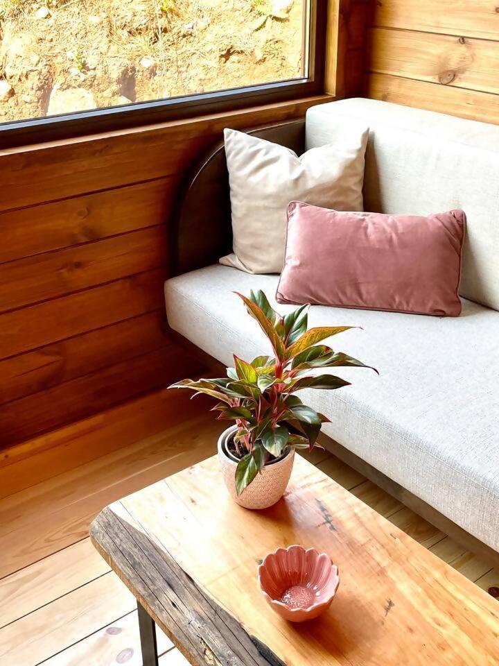 Mountain Eco Shelter 7 Hotel Funchal  Exterior foto